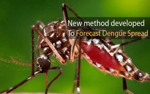 New method developed to forecast dengue spread
