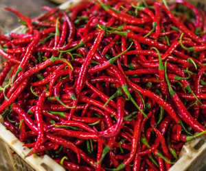 Chilli and Pepper