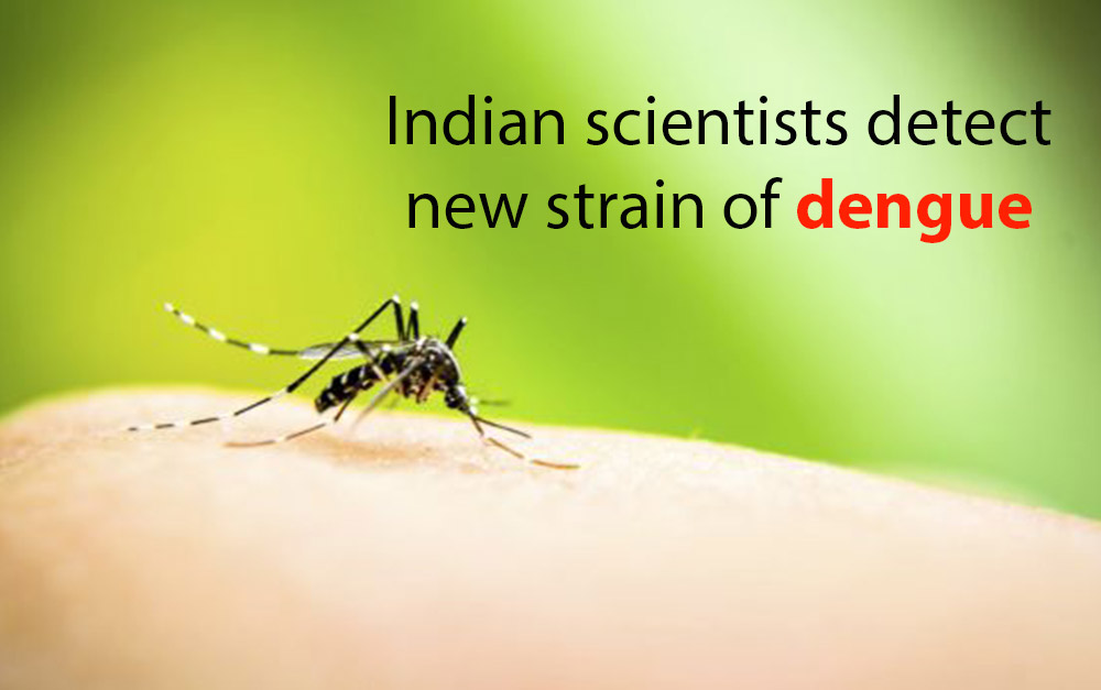 Indian scientists detect new strain of dengue