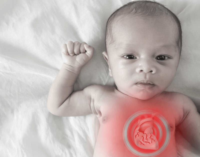 Why are some babies born with heart defects IH Magazine article