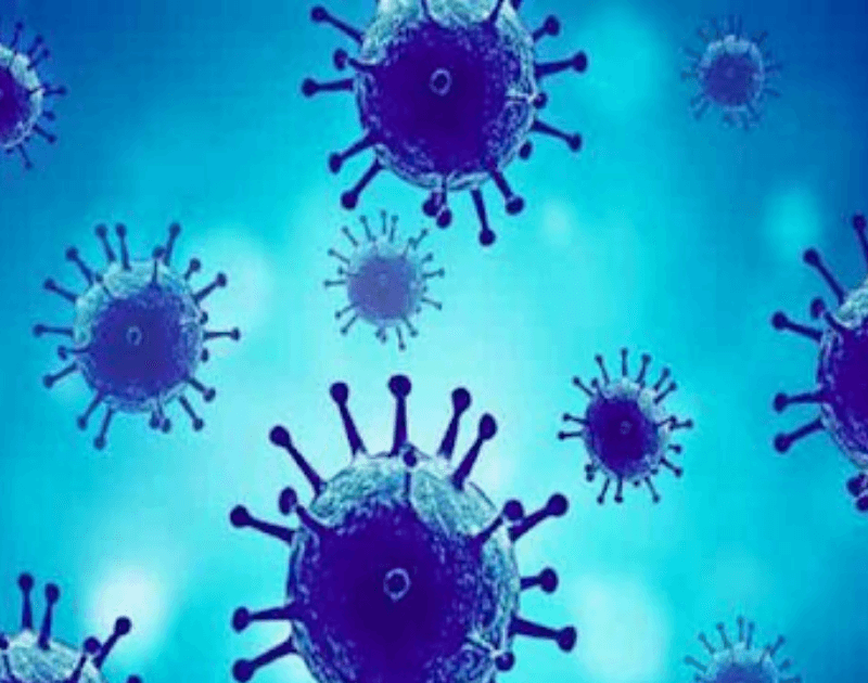 Government launches ‘One Health’ consortium for surveillance of bacterial, viral infections