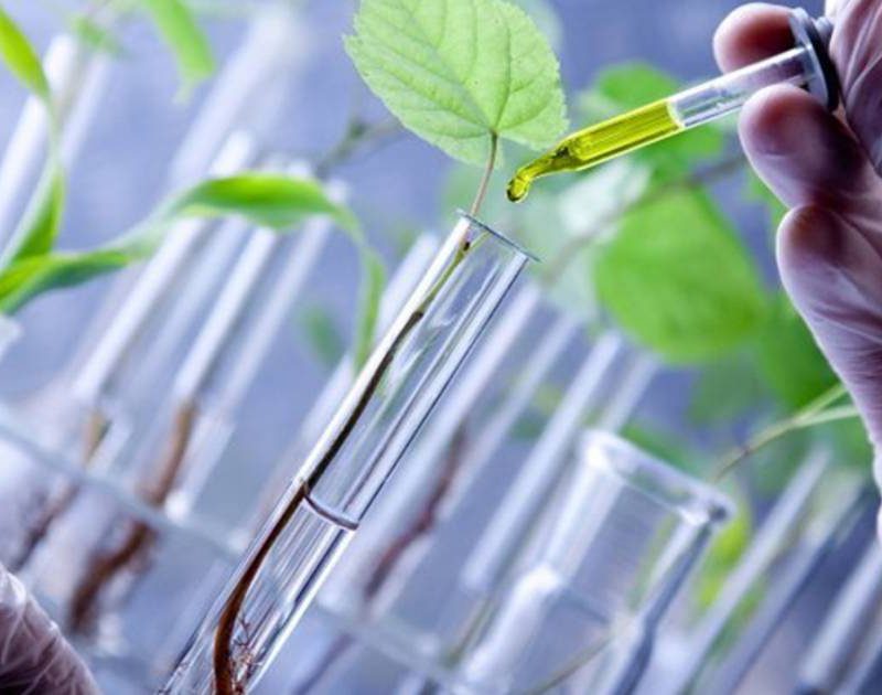 IISF 2022-Startup Conclave to focus on Biotech Innovation Ecosystem