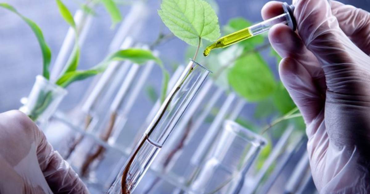IISF 2022: Startup Conclave to focus on Biotech Innovation Ecosystem