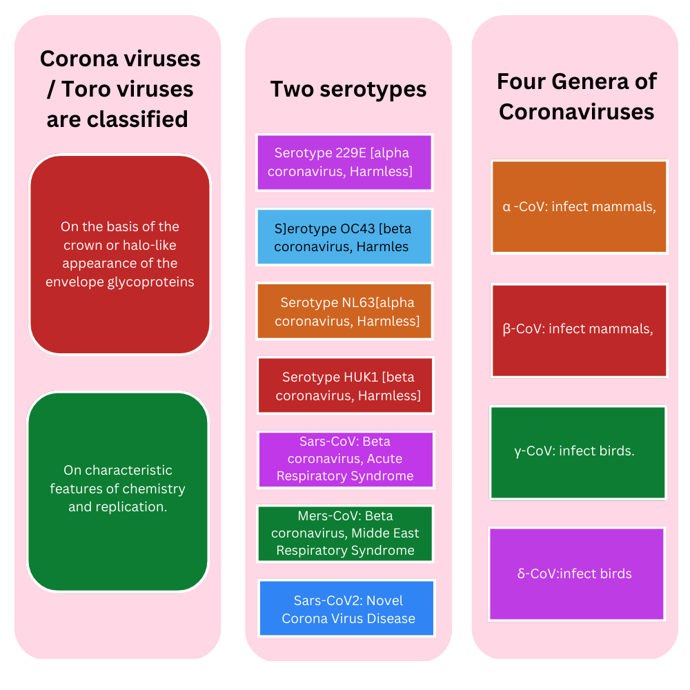 Classification of Corona viruses