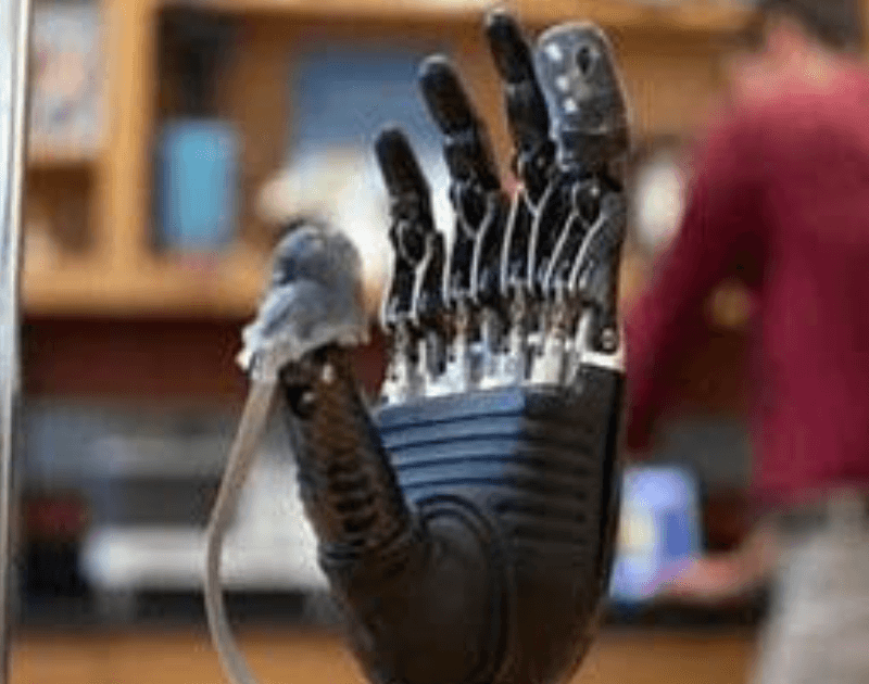 ‘E-dermis’ Recreates Sense Of Touch To Prosthetic Hands