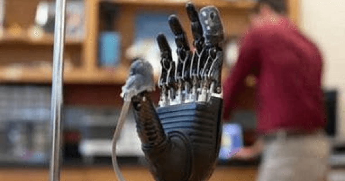 ‘E-dermis’ Recreates Sense Of Touch To Prosthetic Hands