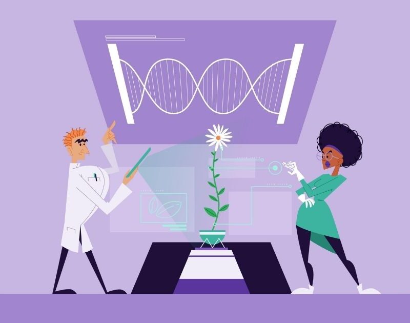 Advancing Food Security, Biodiversity, and Climate Solutions through Structural Bioinformatics