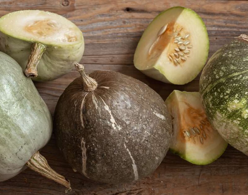 The Little Wild Gourd: A Hidden Gem of the Vegetable World