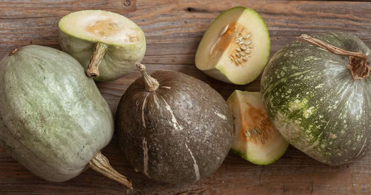 The Little Wild Gourd: A Hidden Gem of the Vegetable World