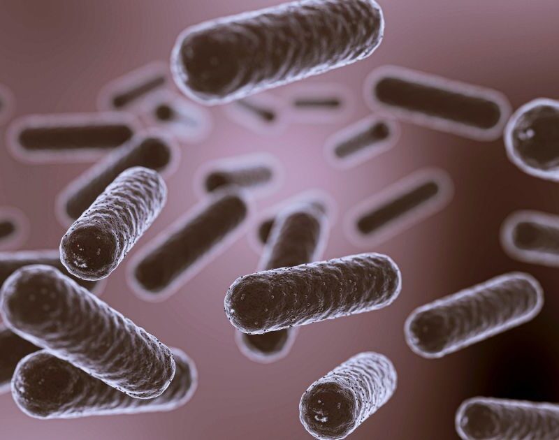 Role of Microbiota in Gastrointestinal Cancer Development and Treatment