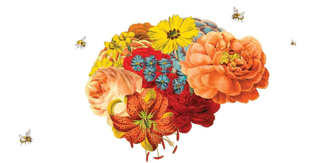 Book Review – THE MOLECULE OF MORE