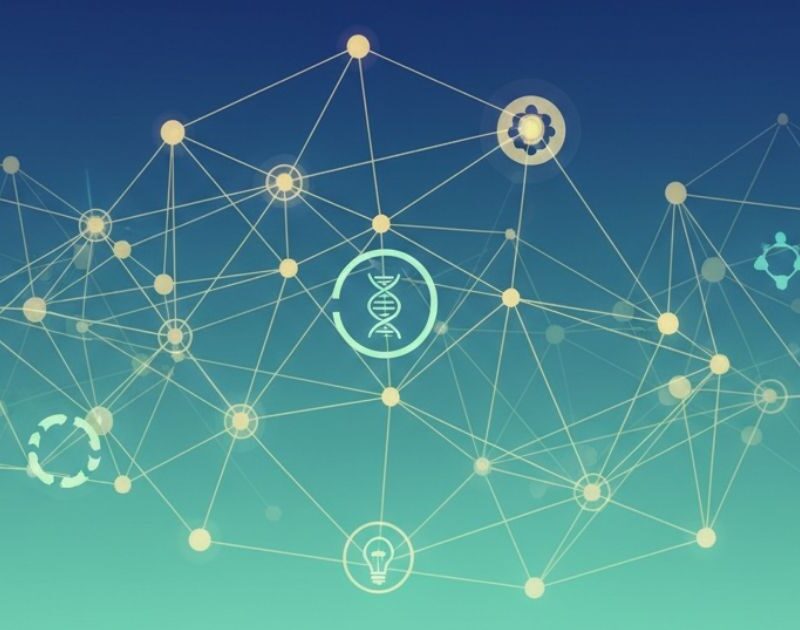 Book Review: Reimagining Health -Inspiring Stories of Innovators