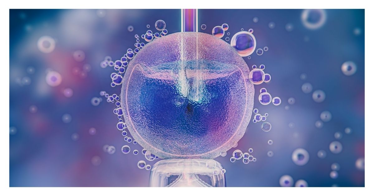 Beyond IVF: The Promise and Perils of In Vitro Gametogenesis